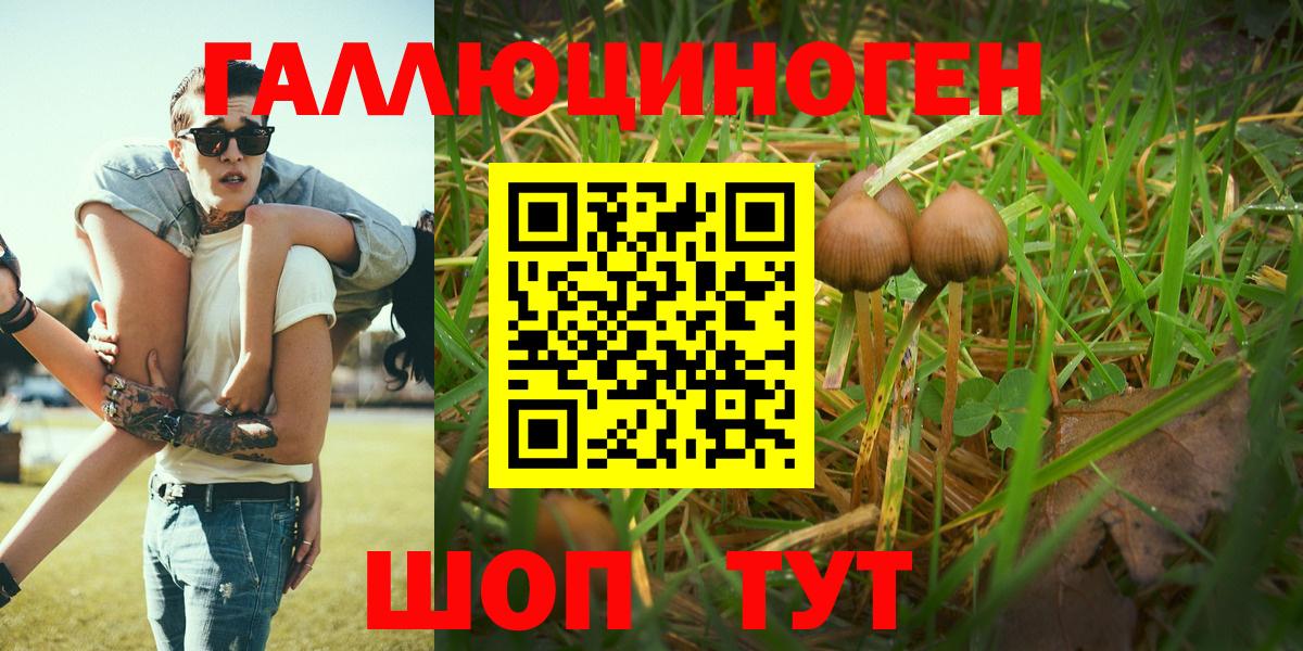 Псилоцибиновые грибы мухоморы  Вход с VPN  Анапа 